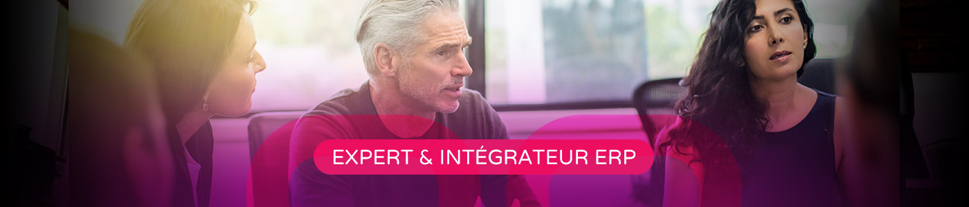 Expert et intégrateur ERP